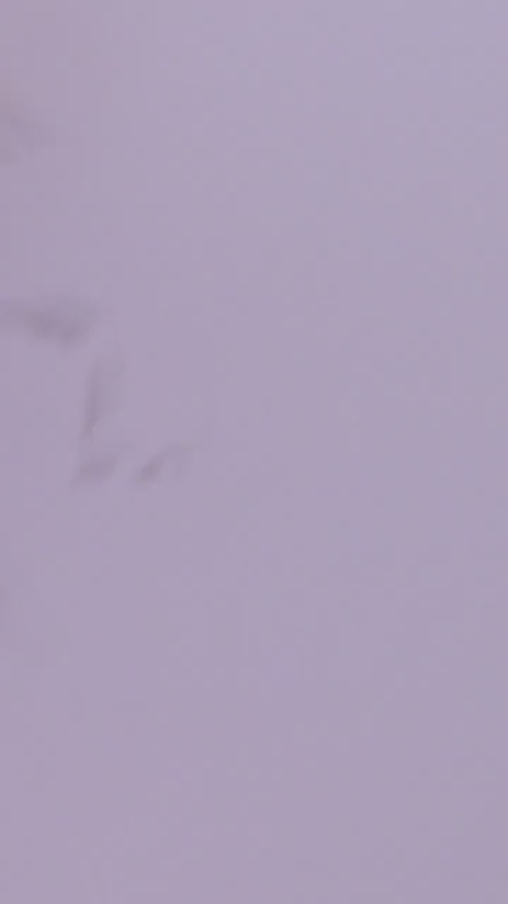 60 Hand-Drawn Designs: Night Court, Dread Trove & Seasonal Courts (PDF) ACOTAR Inspired Coloring Book Bundle